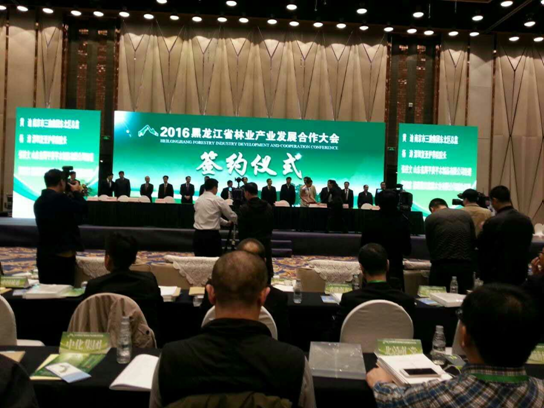 仟億達(dá)831999碳交易業(yè)界影響強(qiáng)，副總田衛(wèi)然接受黑龍江廣播電視臺采訪